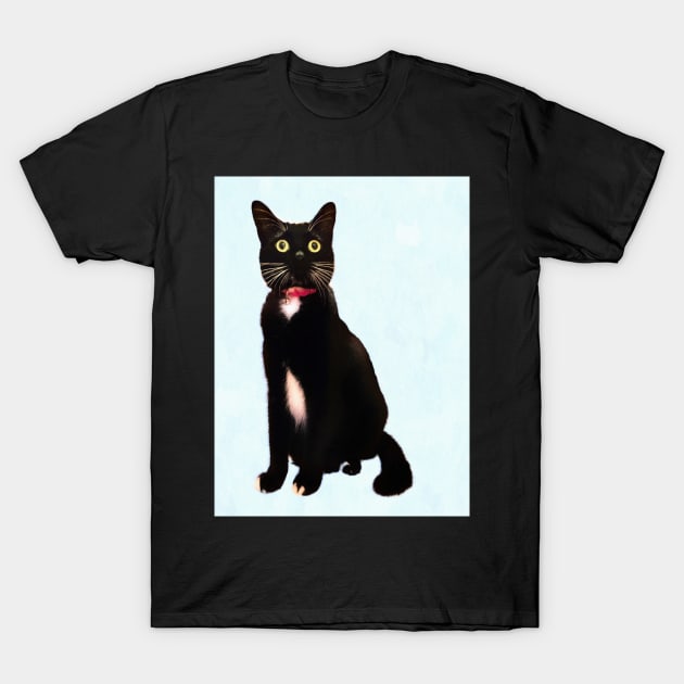 Black and White Tuxedo Cat T-Shirt by jillnightingale